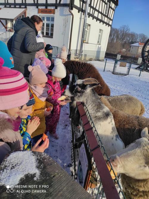 Projektový den na Statku Bernard u Sokolova